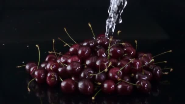 Salpicaduras de agua en cerezas maduras y jugosas — Vídeo de stock