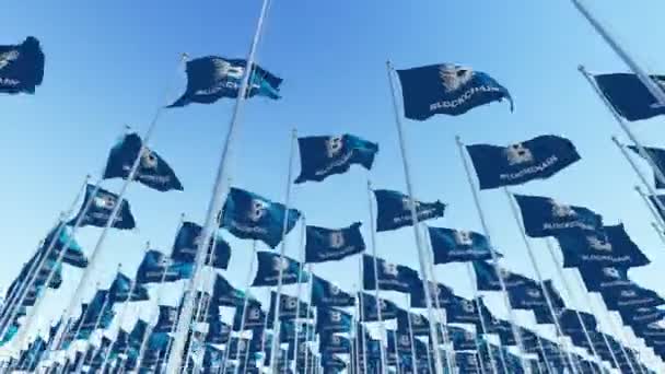 Flaggen Mit Bitcoin Blockchain Kryptowährungszeichen Wehen Wind Vor Blauem Himmel — Stockvideo