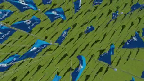 Bitcoin Blockchain Crypto Currency Blue Flags Green Field View Rendering — Stock Video