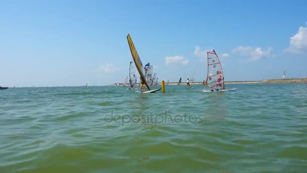 Festival Esportes Lazer Bank Windsurfers Surfing Wind Sunny Day Verão — Vídeo de Stock