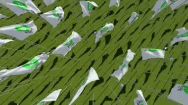 Bayrakları Bit Kripto para para para ile yeşil sahada imzala. Üç boyutlu 3d animasyon oluşturma