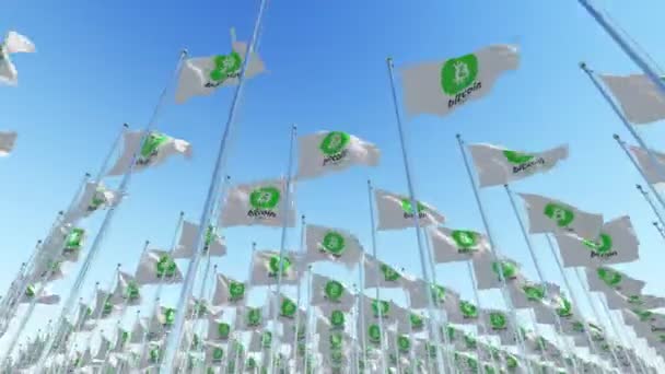Wiele Flag Krypto Waluty Bitcoin Gotówki Zarejestruj Przeciw Błękitne Niebo — Wideo stockowe