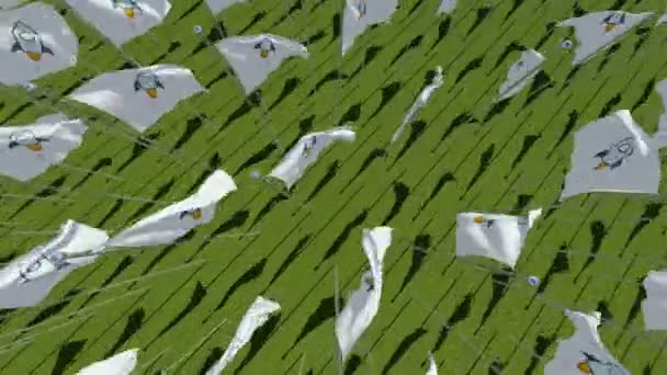 緑の野原に白い旗の星の暗号通貨ロケットのアイコン つの次元の アニメーションのレンダリング — ストック動画
