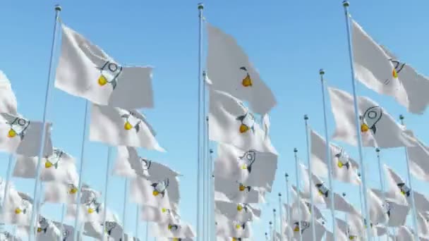 Stellar Crypto Currency Rocket Icon White Flags Waving Blue Sky — Stock Video