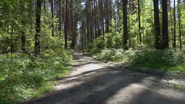 Tres Chicos Montando Bicicletas Bosque Niños Bicicleta Día Soleado Parque — Vídeo de stock