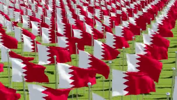 Many Flags Bahrain Green Field Three Dimensional Rendering Animation — Stock Video