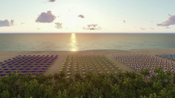 Plane Landing Ocean Trees Palms Umbrellas Deck Chairs Beach Sea — Stock Video