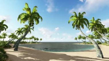 Palmiye ağaçları ile plaj üzerinde uçak uçan düşük. Deniz tropikal peyzaj. Üç boyutlu 3d animasyon oluşturma.