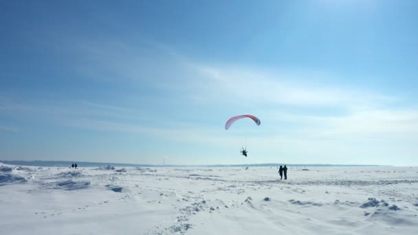 ノヴォシビルスク ロシア連邦 2018 晴れた冬の日の凍った海に着陸動力パラグライダー Ppg 川祭り — ストック動画