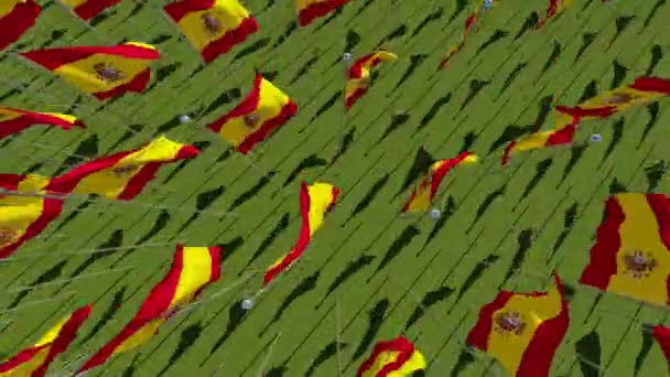 Nombreux Drapeaux Espagne Vue Haut Dans Champ Vert Par Temps — Video