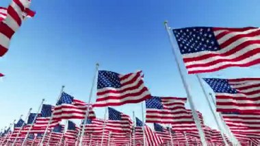 Birçok Amerikan ABD bayrakları bayrak direkleri mavi gökyüzü Rüzgar içinde çırpınan. Üç boyutlu render animasyon.
