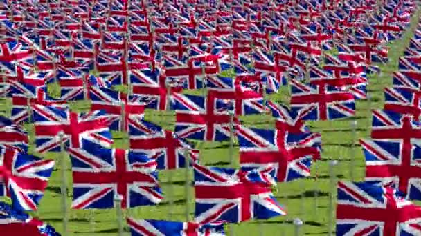 Muchas Banderas Del Reino Unido Ondeando Viento Fondo Del Campo — Vídeo de stock