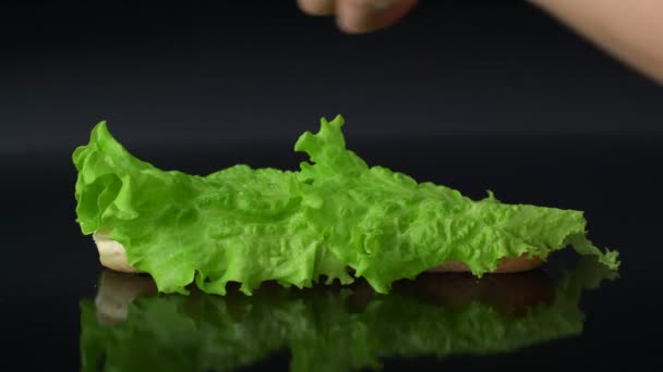 Herstellung Von Frischem Vegetarischem Sandwich Mit Käse Tomaten Salat Auf — Stockvideo