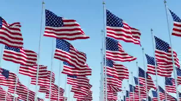 许多美国国旗在风中飘扬在旗杆上 对着蓝天 三维渲染动画 — 图库视频影像
