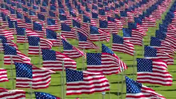 许多美国国旗在旗杆在风中挥舞着绿色的田野 从上面查看 三维渲染动画 — 图库视频影像