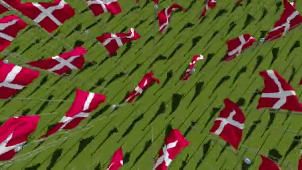 Muchas Banderas Dinamarca Ondeando Viento Fondo Del Campo Verde Vista — Vídeo de stock