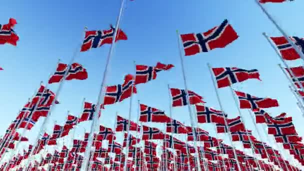 Многие Флаги Норвегии Против Голубого Неба Трехмерная Анимация — стоковое видео