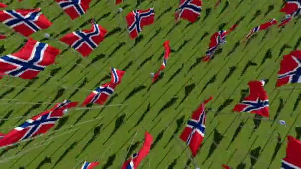 Banyak Bendera Norwegia Yang Terlihat Dari Atas Dalam Bidang Hijau — Stok Video