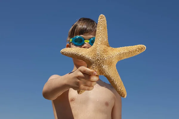 Feliz Chico Jugando Playa Niño Sosteniendo Estrellas Mar Concepto Vacaciones — Foto de Stock