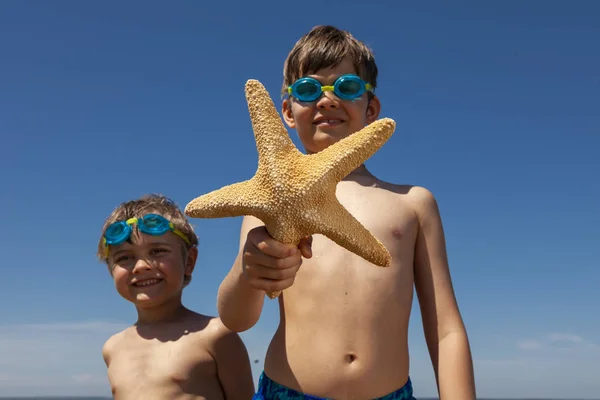 快乐的孩子们在海滩上玩耍 男孩在蓝天下抱着海星 暑假的概念 — 图库照片