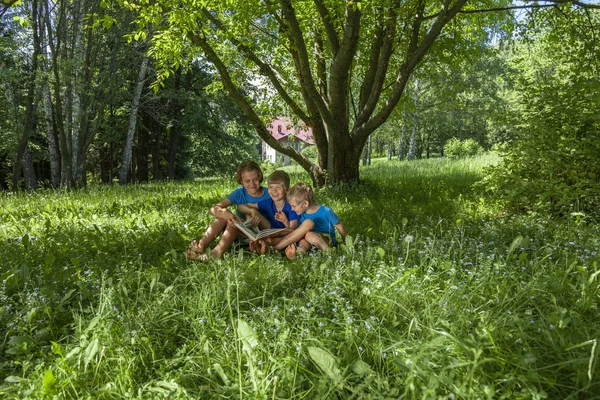 Τρία Αγόρια Κάθονται Κάτω Από Δέντρο Στο Καλοκαιρινό Γκαζόν Ευτυχισμένα — Φωτογραφία Αρχείου