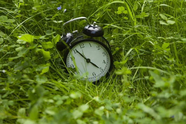 Wekker Buiten Groen Gras Een Zonnige Dag — Stockfoto