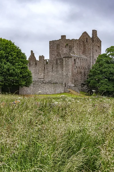 Руины замка Крейгмиллар — стоковое фото
