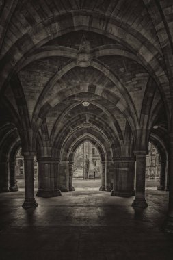 Glasgow Üniversitesi Cloisters