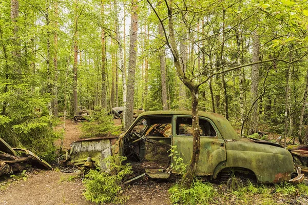 Cementerio de coches en el bosque — Foto de Stock