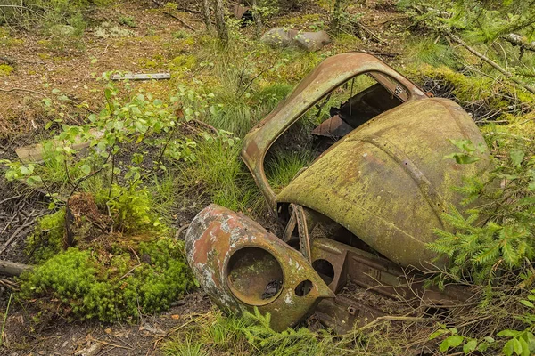 Escarabajo destrozado coche en el bosque — Foto de Stock