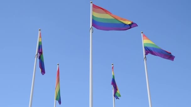 Regenboog vlaggen zwaaien — Stockvideo