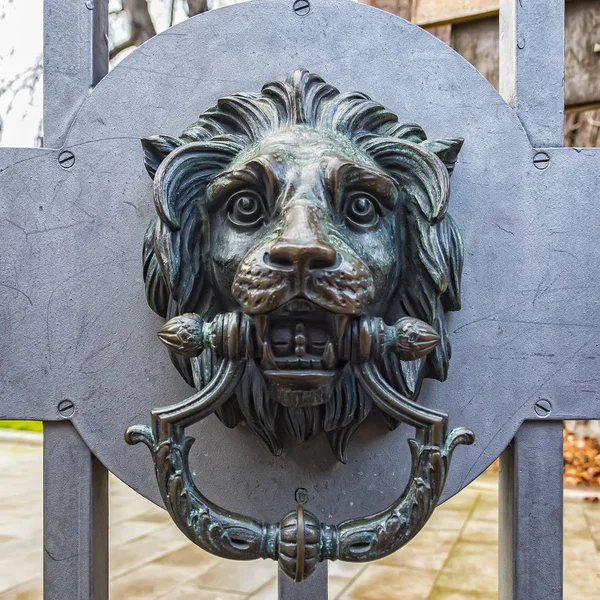 Metal Lion głowy Kołatka — Zdjęcie stockowe