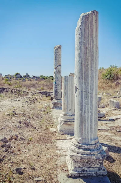 Πλευρά Columnated ερείπια — Φωτογραφία Αρχείου