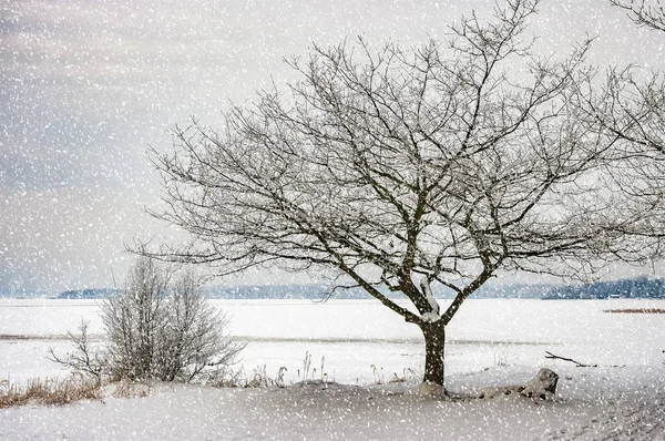 Winterwonderland op een bevroren meer — Stockfoto