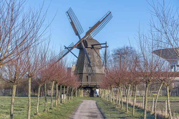 Fredriksdals Museum väderkvarn — Stockfoto