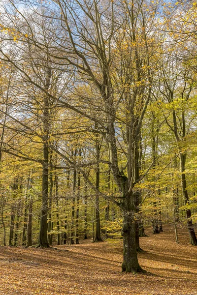 Soderasens Nationaal Park — Stockfoto