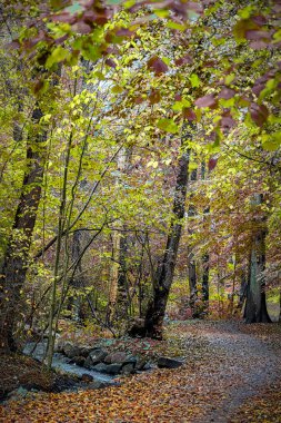 Helsingborg Jordbodalen Ormanları