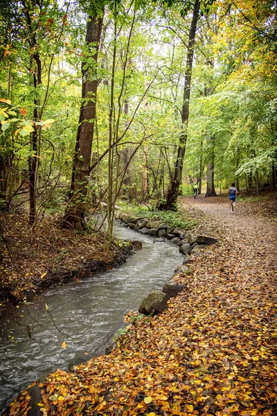 Helsingborg Jordbodalen Woodlands Jogging Pad — Stockfoto