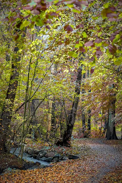 Helsingborg Jordbodalen Skogsmark — Stockfoto