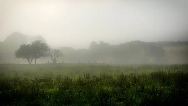 Early Morning Misty Farmland — Stock Photo, Image