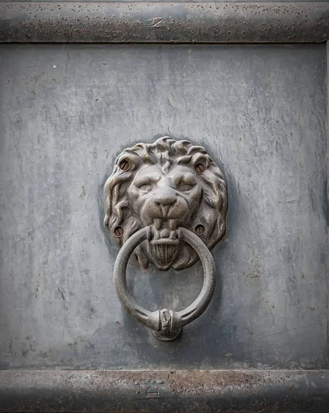 Frappeur de porte en métal rouillé tête de lion — Photo