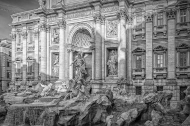 Roma Trevi Çeşmesi Siyah ve Beyaz