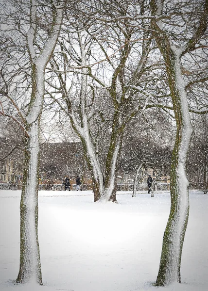 Helsingborgs Stadsparken Pieno Inverno Con Neve Che Cade — Foto Stock