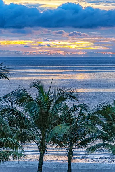 Alba Esotica Tramonto Con Palme Che Affacciano Vasto Oceano Acqua — Foto Stock