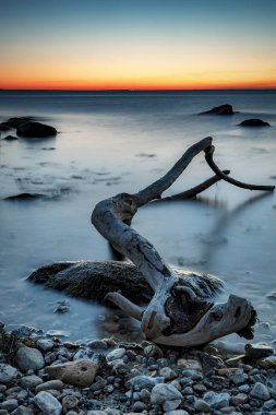 Glumslovs Backar, İsveç 'in Landskrona eyaletinin Glumslov kentinin güneybatısında yer alan bir doğa koruma alanıdır..