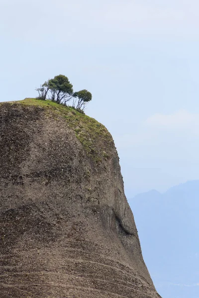 Ağaçların tepesinde kaya — Stok fotoğraf