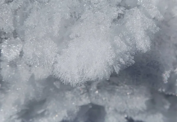 Hoarfrost and snow — Stock Photo, Image