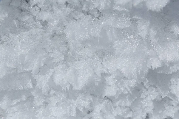 Close up of rime — Stock Photo, Image