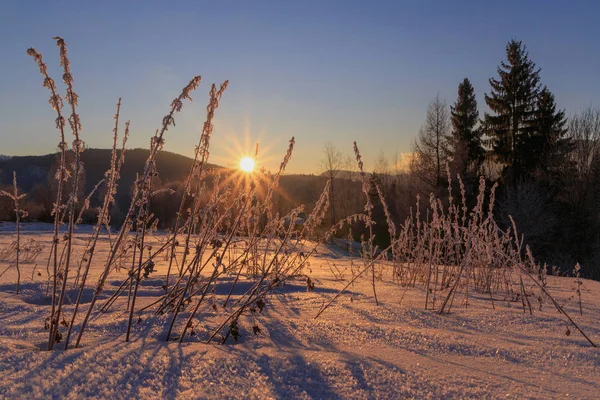 Sonnenaufgang in den Karpaten — Stockfoto