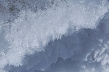 hoarfrost kristalleri